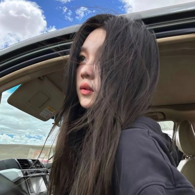 白鸥啊 不要飞起来